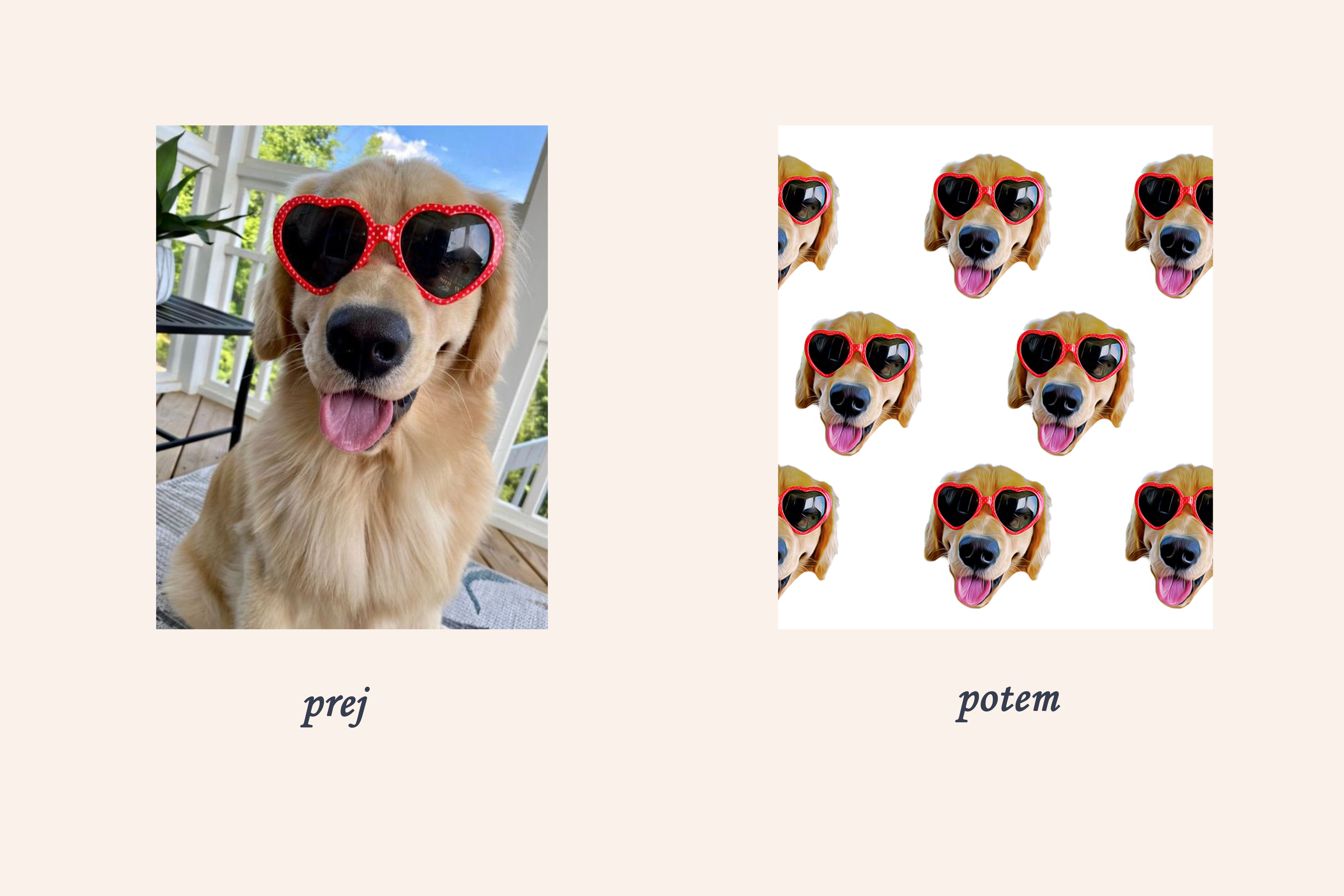 Personalized Mug - Pet Illustration (Faces)