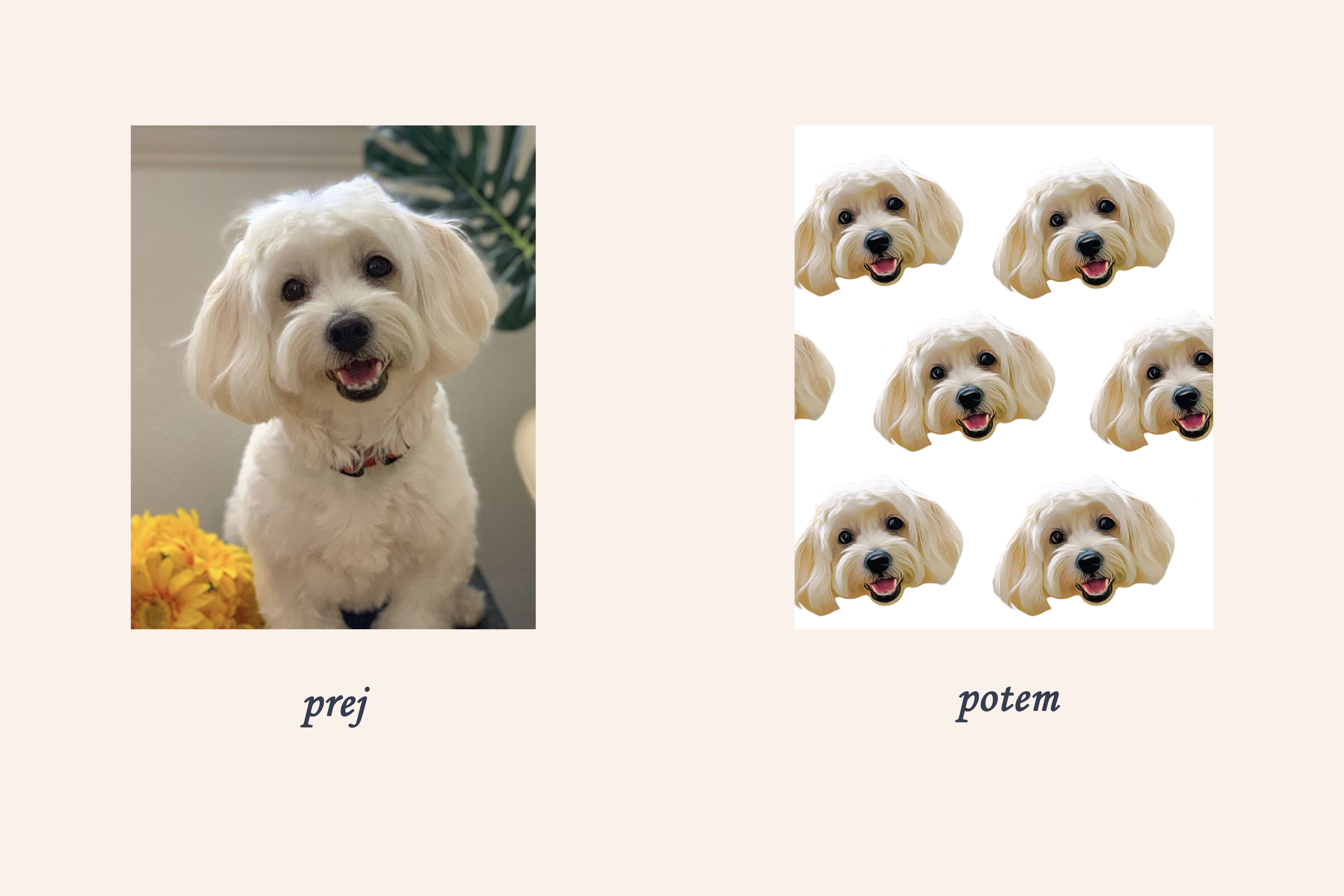 Personalized Mug - Pet Illustration (Faces)